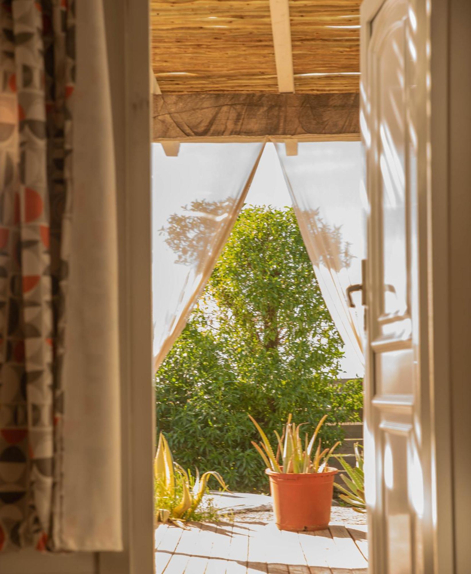 La Cabana A Orillas Del Palmar Cádiz Exteriér fotografie